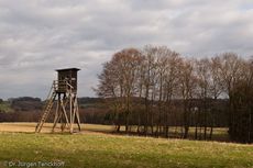 Hochstände (148 von 154).jpg